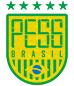 PES 6 Brasil